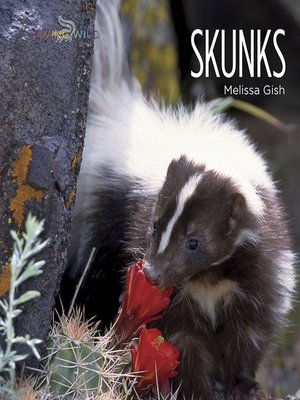 cover image of Skunks